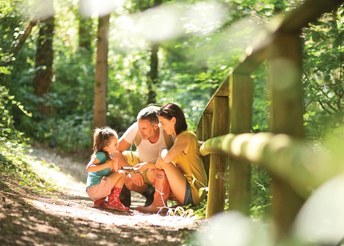 Castle Brake Holiday Park Woodbury Luaran gambar